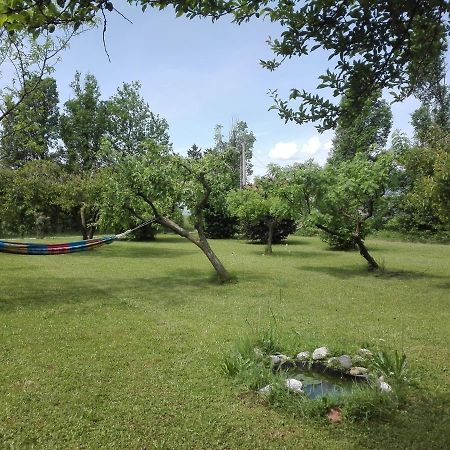 La Vie En Rose Bed & Breakfast Buia Dış mekan fotoğraf