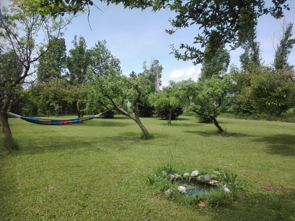 La Vie En Rose Bed & Breakfast Buia Dış mekan fotoğraf
