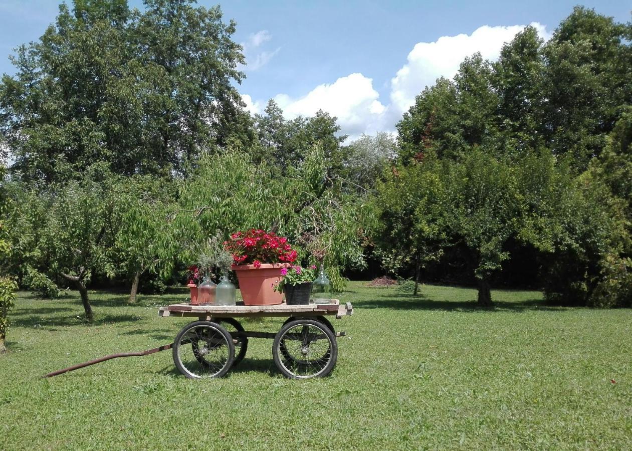 La Vie En Rose Bed & Breakfast Buia Dış mekan fotoğraf